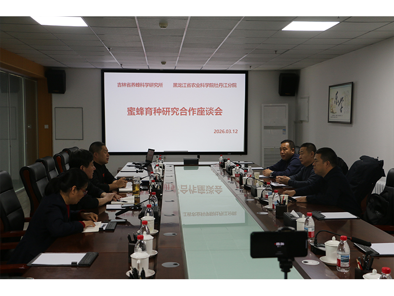 1773391557404796.jpg 未标题-2.jpg