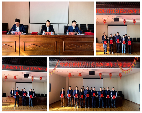 1773391631216423.jpg 未标题-2.jpg